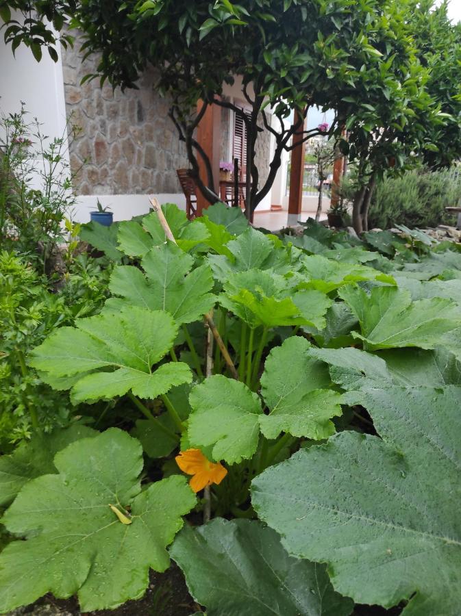 Holiday Home Mennulita Lipari  Exterior foto